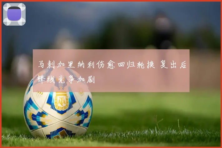 马刺加里纳利伤愈回归轮换 复出后锋线竞争加剧